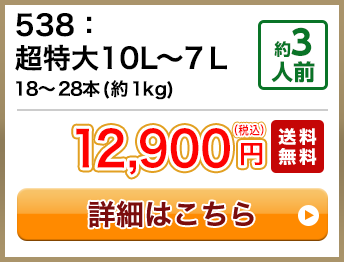 538：超特大10L～7Ｌ 18～28本(約1kg) 約3人前 12,900円(税込) 送料無料