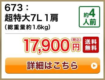 673：超特大7L 1肩（総重量約1.6kg） 約4人前 セール 12,800円(税込) 送料無料